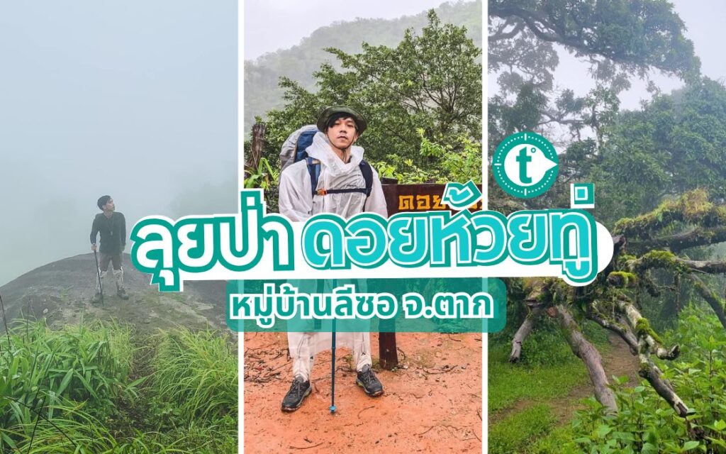 รีวิวดอยห้วยทู่